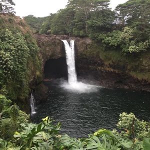 Meet your Posher, Bailey